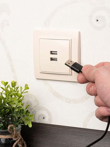 Минск Розетка USB 2-местная СП 2,1А бежевая EKF