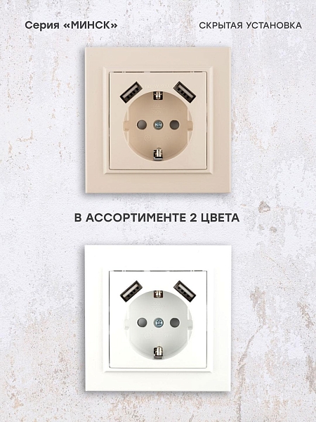 Минск Розетка 1-местная СП с/з 16А бежевая с защ. штор. с 2 USB 2,1А EKF