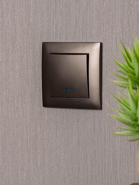Валенсия лицевая панель выключателя 1-кл. с индикатором 10А графит EKF