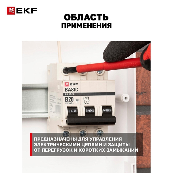 Автоматический выключатель ВА 47-29 2P 63А (C) 4,5кА BASIC