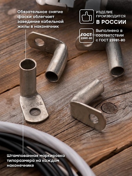 Наконечник медный луженый ТМЛ 70-10-13 (90гр) EKF PROxima